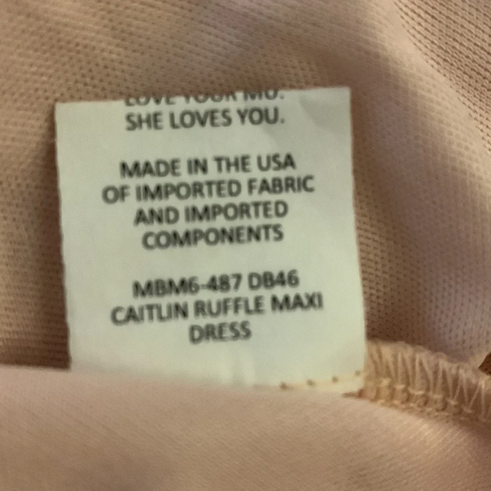 Show Me Your Mumu Caitlin Maxi In Soft Beige Chiffon Size XL New - Picture 6 of 7